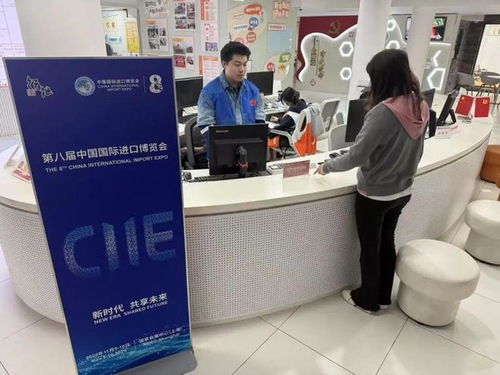 志愿暖流匯聚徐匯，全力護(hù)航進(jìn)博盛會——信息咨詢服務(wù)助力進(jìn)博會